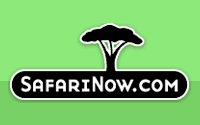 SafariNow logo